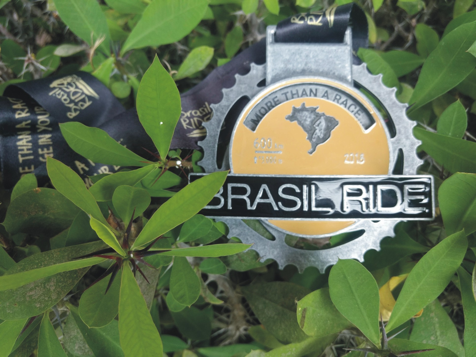 Med Brasil Ride (1).jpg